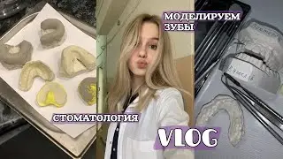 ВЛОГ | Сходим с ума и немного учебы | Саша Лям