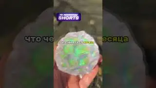 Анекдот 😂 Муж Ларисы, сын Ларисы, Лазарь Вениаминович и мужики