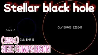 《Stellar black hole》 Size Comparison | 2024