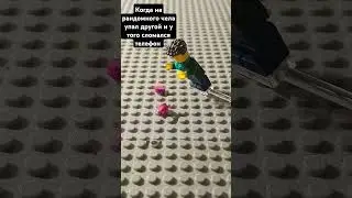 #lego