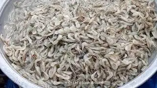 মাছ আর মাছ । দেশি বিলের মাছ । না দেখলে মিস । ঢাকার সর্ববৃহৎ মাছ বাজার।  deshi local fish Bangladesh