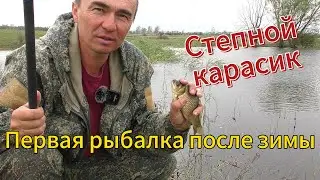 Степной карасик.