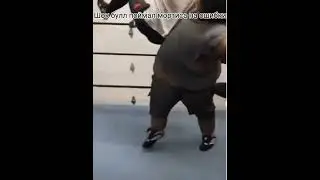шок Булл поймал мортиса на ошибке