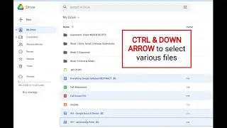 Selecting Multiple Files in Drive