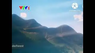 VTV1 - Hình Hiệu Việt Nam & Các Chỉ Số (VN&Index) (2005-2008) | Đài Truyền Hình Việt Nam
