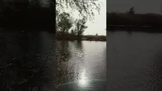 шум природы.