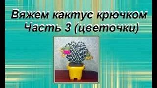 Кактус крючком (часть 3)