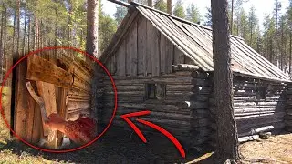 Нашли хижину в лесу. Такого я не ожидал