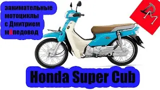 Рассказ Honda super cub \ занимательные мотоциклы с Дмитрием мАпедовод