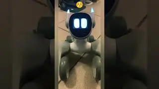 Loona robot funny reactions 
