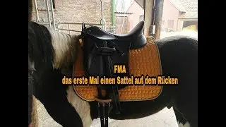Ein Tag am Stall ❤Ausbildung von meinem Jungpferd❤ das erste Mal mit Sattel | FMA