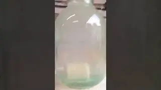 Пыление моего технопланктона для донной ловли