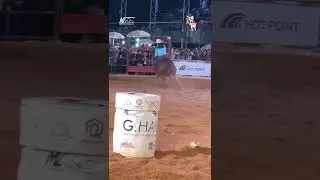 ExpoAgro Bragança 2023 #trend #trendingshorts #trendingvideo #sucesso #foco #top #topnews #rodeios
