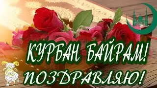 Курбан Байрам красивое видео поздравление - открытка на праздник Курбан Байрам