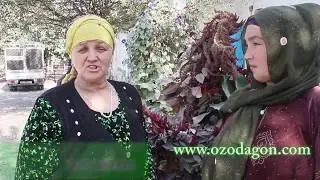 Севарой бо се фарзандаш дар кӯча зиндагӣ мекунад