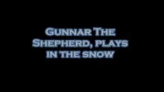 Gunnar Plays in the Snow 2020 / 2021