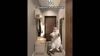 1 часть(всё видео не влезло)
