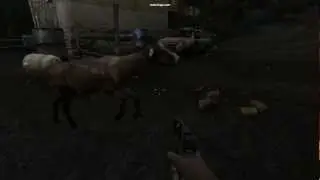chickenisabrickwall.avi