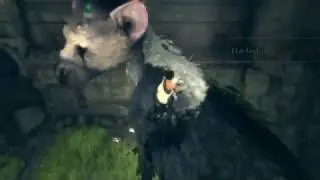 First Time Playing The Last Guardian