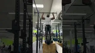 Crazy journey on Sky Mentorship! #calisthenics #dominiksky #mobility #pullups #weightedpullups #USA