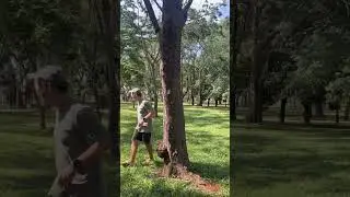Парадокс