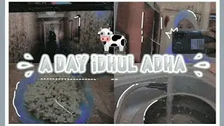 🐄A day in 🕌 Idhul Adha - Eid prayer at home, eating, unboxing casing, Conjuring film, etc 🐄