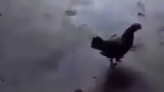 Nuktani xech qachon kichkina demang u xam vaqti kelsa katta sozlarni toxtatadi