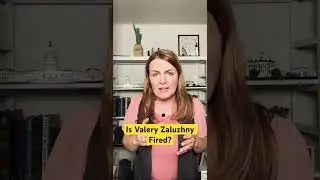 Is Valery Zaluzhny Really Fired? Facts, Rumors, Propaganda Narratives.