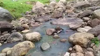 Agua de vida 