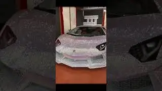 #car #lamborghini #wow #dog #gaming