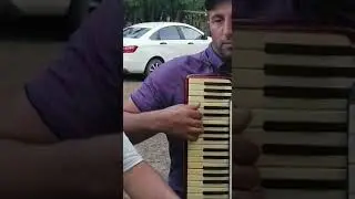 Красиво отдыхают…..