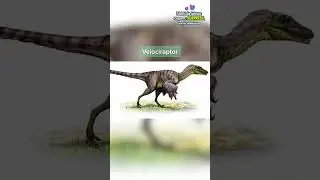 WHAT DINOSAURS SOUNDED LIKE!! 