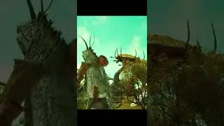 Каджит - не вор, каджит - невидимка. 