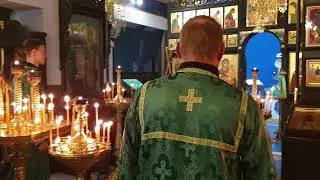 РПЦЗ Вербное воскресенье 2019 Малый вход