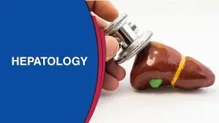 Safe Limit For Alcohol Consumption | HCV infection |Best Liver Transplantation in India | Manipal