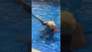 Water aerobics gone wrong