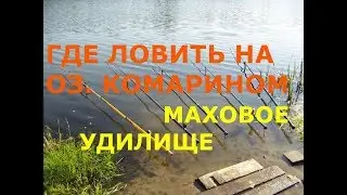 Озеро Комариное  Уловистые места  Плотва  48 42