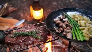 Cozy Solo Camping with Fire in a Hidden Forest (ASMR) – The Real Luxury