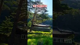 선비가 만든 사찰, 내설악 오름길에 쉬어가는 인심좋은 절집 #영시암 #백담사 #봉정암