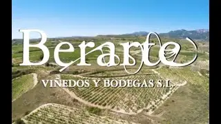 Berarte, Viñedos y Bodega, Villabuena de Alava. D.O.C. Rioja, SPAIN. VINEYARDS AND DRONE
