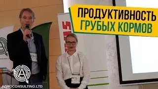 Потенциал грубых кормов