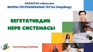 Вегетативдик нерв системасы