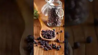 What is juniper berry good for?