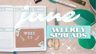 Plan With Me June Weeklies 🍃✨Easy and Fast Bullet Journal Weekly Spreads