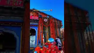 Tu he tho jannat meri bhole Baba ka sbse acha bhajan kedarnath k darshan#2024 Bam Bam bhole🙏🙏