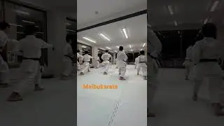 Kih on#kata #karate #空手
