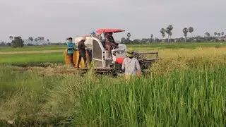 ទេសភាពស្រុកស្រែ ស្រុកខ្មែររបស់យើង,The View of field in Khmer,Cambodia
