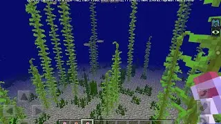 Полный релиз майнкрафта 1.3