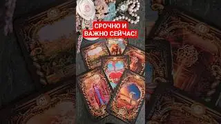 Срочно! #shorts