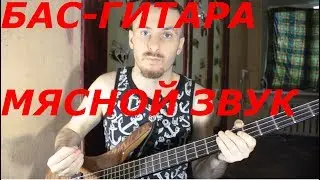 Как получить мясной звук на бас-гитаре?